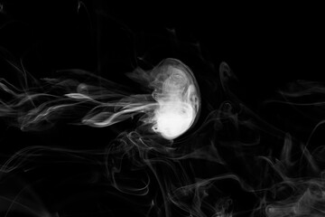Clouds of white smoke on a black background, movement of smoke, smoke in the shape of a jellyfish