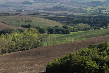 colline in val d'orcia toscana