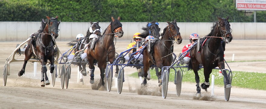 some pics taken during an horse race in Italy