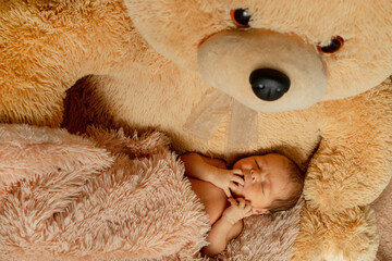 Two week old newborn baby sleeping on teddy bear