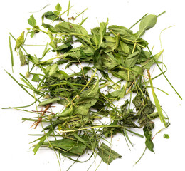 Withered grass isolate on white background