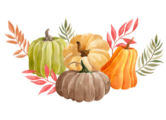 watercolor colorful pumpkins with leaves composition isolated on white
