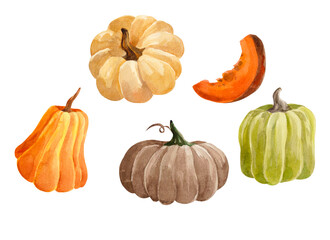 watercolor collection of colorful pumpkins