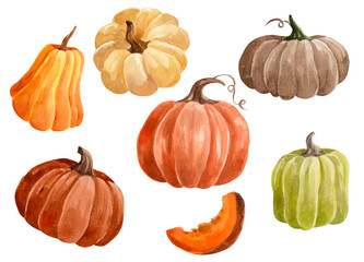 watercolor set of colorful pumpkins isolated