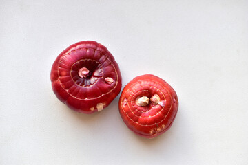 Gladioli bulbs on a white background in autumn