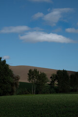 colline in val d'orcia toscana
