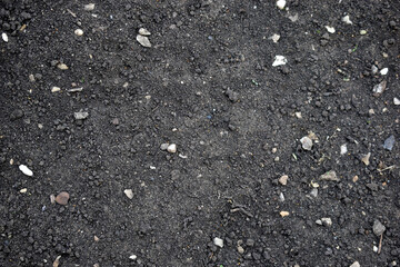 View of black fertile soil soil close up during the day