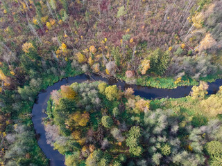 Aerial drone view of autumn forest and small river