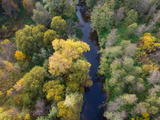 Aerial drone view of autumn forest and small river