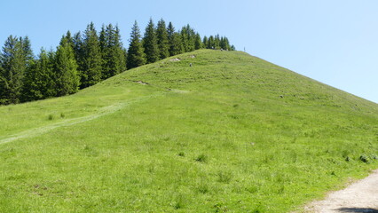 Vorderes Hörnle Bad Kohlgrub