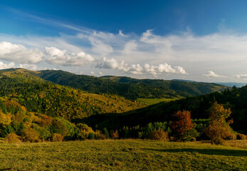 Beautiful deciduous and pine forest at autumn in the Carpathian mountains, blue sky with white clouds in the background.