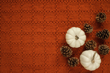 Cones and Baby Boo Pumpkins (white, miniature pumpkins) on warm, cosy handmade blanket. Beautiful autumn flat lay composition, with copyspace.