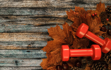 Two red dumbbells with autumn leaves, cones and chestnuts. Healthy fitness lifestyle fall composition. Flat lay with copyspace on wooden background.