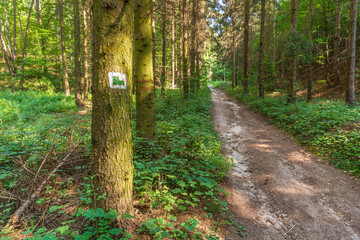 Green Castle tourist sign on a tree marking a trail of the Littl