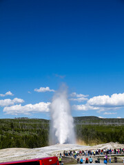 Fototapeta na wymiar Yellowstone was the first national park in the world, and is known for its wildlife and its many geothermal features, especially Old Faithful Geyser, one of the most popular features in the park. 
