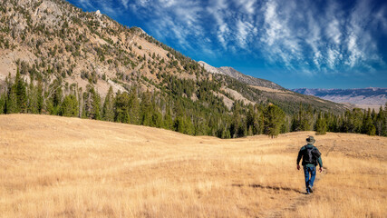 Fototapeta na wymiar Man with a backpack hike through a high mountain meadow