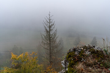 Oberes Donautal im Herbst