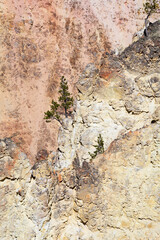 Yellowstone canyon