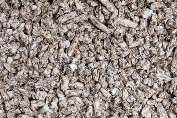 Top view full frame cat litter, made of recycled paper