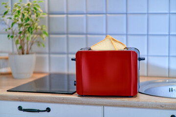 Fototapeta na wymiar Modern red toaster for cooking toasts