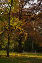 Sunny autumn day in the city park.