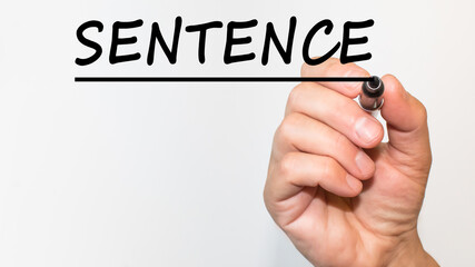 the hand writes the Word SENTENCE with a marker on a white background. business concept