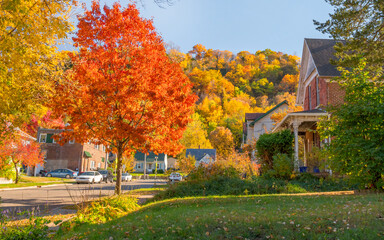 Autumn scenes under sunny day
