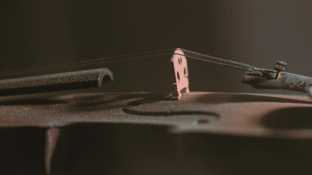 Close up of a violin and strings