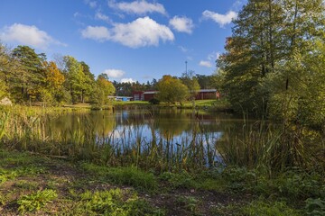 Fototapeta na wymiar Gorgeous view of nature landscape on calm autumn day. Lake shore with uellow trees and plants reflecting in crystal clean mirror water surface. Beautiful backgrounds. Sweden. 