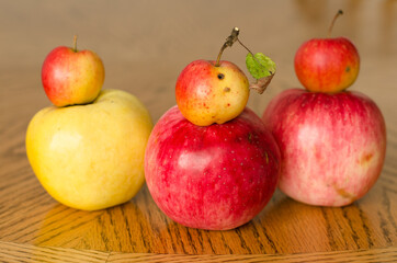 Apples big and small are on the table, natural farming, not pretty fruits