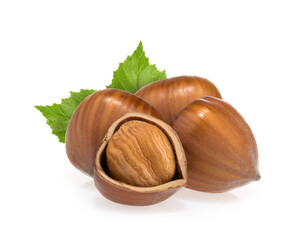 Hazelnuts isolated on white background