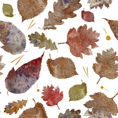 Watercolor illustration pattern. Autumn leaves watercolor texture.
