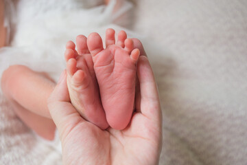 Obraz na płótnie Canvas Newborn Baby Feet in Mother Hands, Mom massaging New Born Kid Foot, Health Care