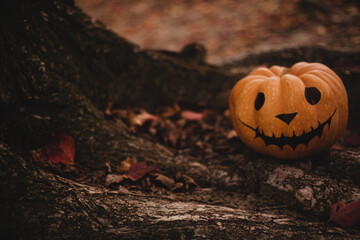 Seasonal Halloween painted pumpkins on the tree and in orange autumn leaves. The pumpkins are...