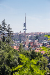 Obraz premium Prague old town sunny panorama view old town natural tree frame