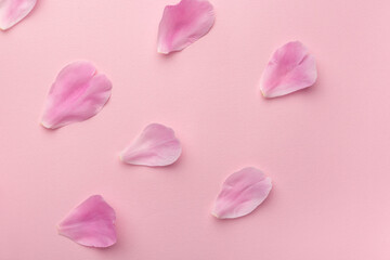 Delicate pink petals on pink background. Floral background