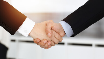 Businessman and woman shaking hands with colleagues at the background. Handshake at meeting in sunny office