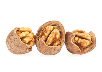 Kernel and whole walnuts isolated on a white background. Set of delicious walnuts.