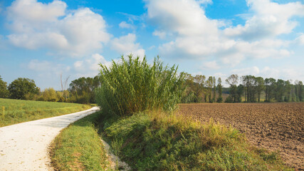 Fototapeta na wymiar Countryside landscape, white dirty road and plowed fields, blue sky
