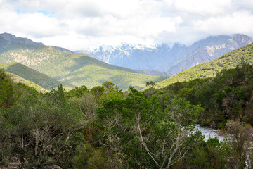 Le Fango (Fangu en corse) est un petit fleuve c&ocirc;tier fran&ccedil;ais de l'&icirc;le de Corse.