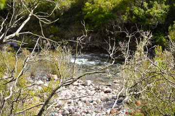 Le Fango (Fangu en corse) est un petit fleuve c&ocirc;tier fran&ccedil;ais de l'&icirc;le de Corse.