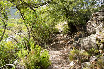Le Fango (Fangu en corse) est un petit fleuve côtier français de l'île de Corse.