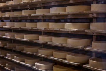 Yellow cheese heads lie on wooden shelves. Cooking process. Close-up. Soft focus.