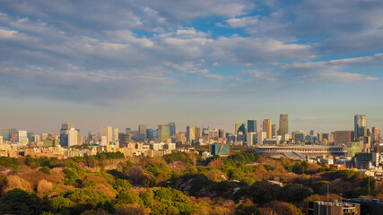 Fototapeta na wymiar Tokyo Roppongi and Minato Districts modern skyline