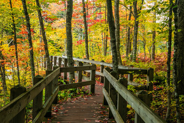 Scenic board walk in Presque Isle state park surrounded by fall foliage in Michigan upper peninsula