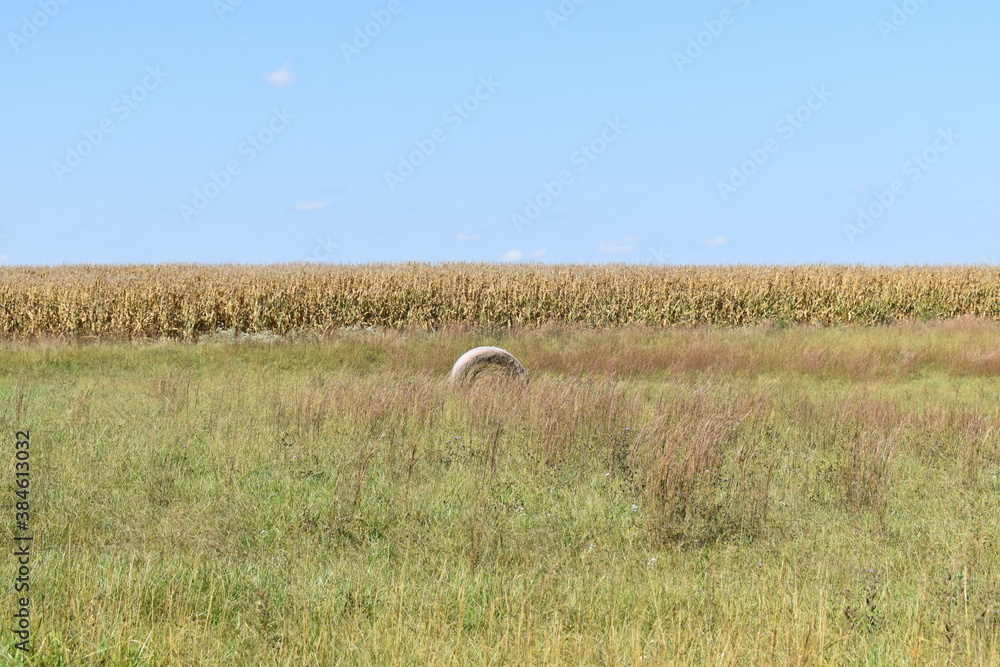 Sticker Hay Bale and Corn Field