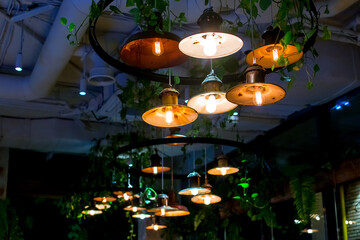 several round loft style suspended luminaires with edison lamps shine warm light in interior of dark eco friendly restaurant with green plants on ceiling, closeup of pendant lights in night cafe.