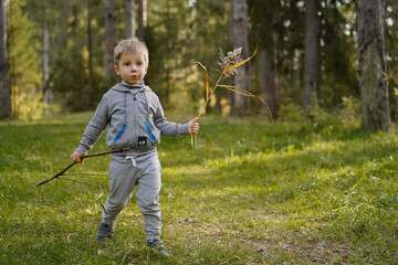 Small cute Caucasian boy exploring autumn forest