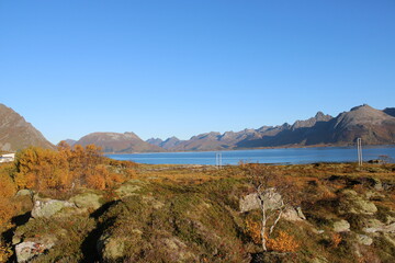 The rural areas on Lofoten Islands in autumn