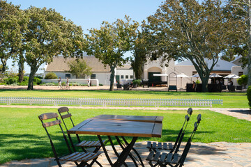 Picnic table set up in the grounds of a grape farm in South Africa